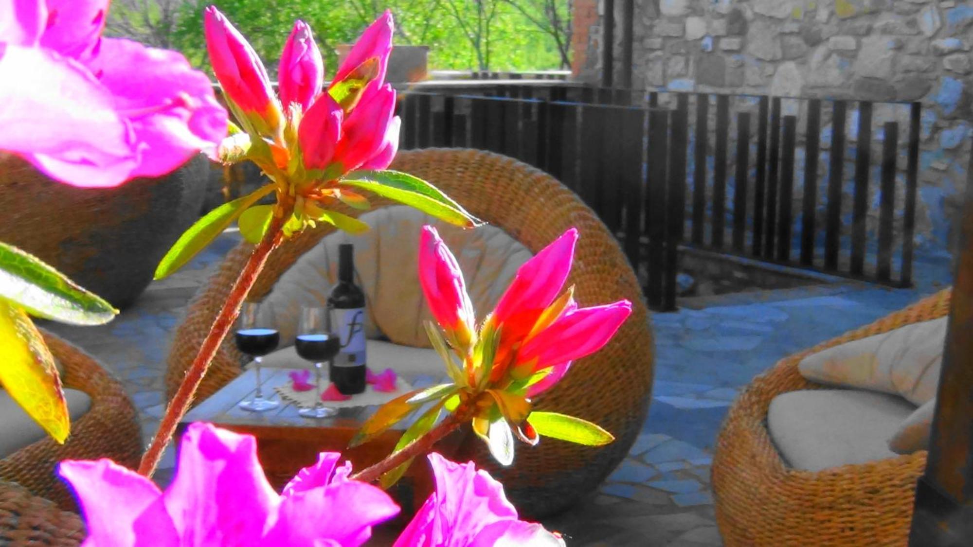Fattoria Pianetti Guest House Manciano Eksteriør bilde
